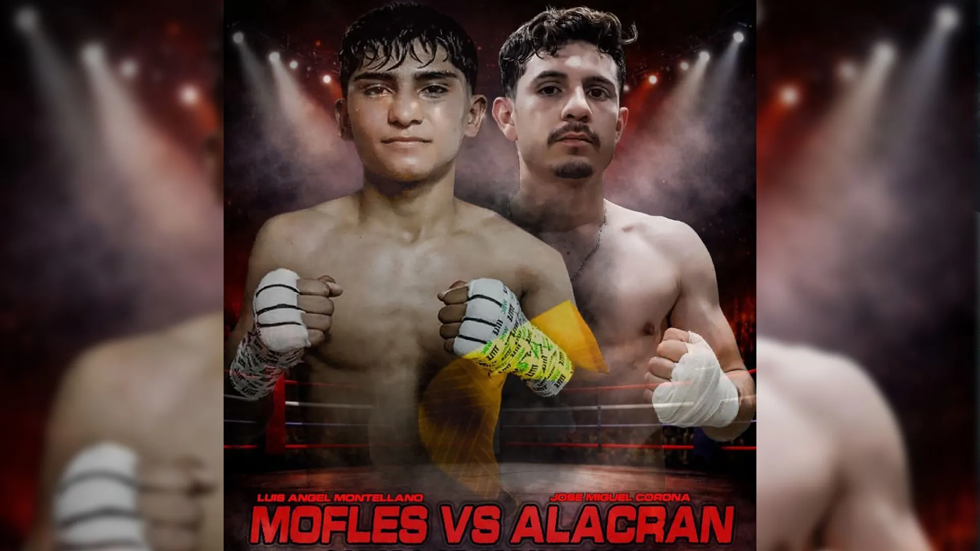 FUNCION DE BOXEO PROFESIONAL