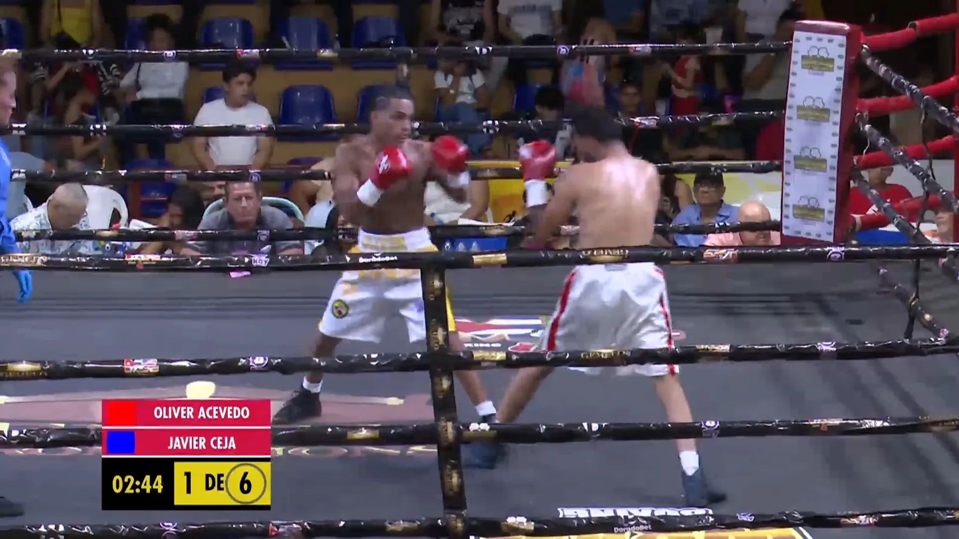 OLIVER ACEVEDO VS JAVIER CEJA