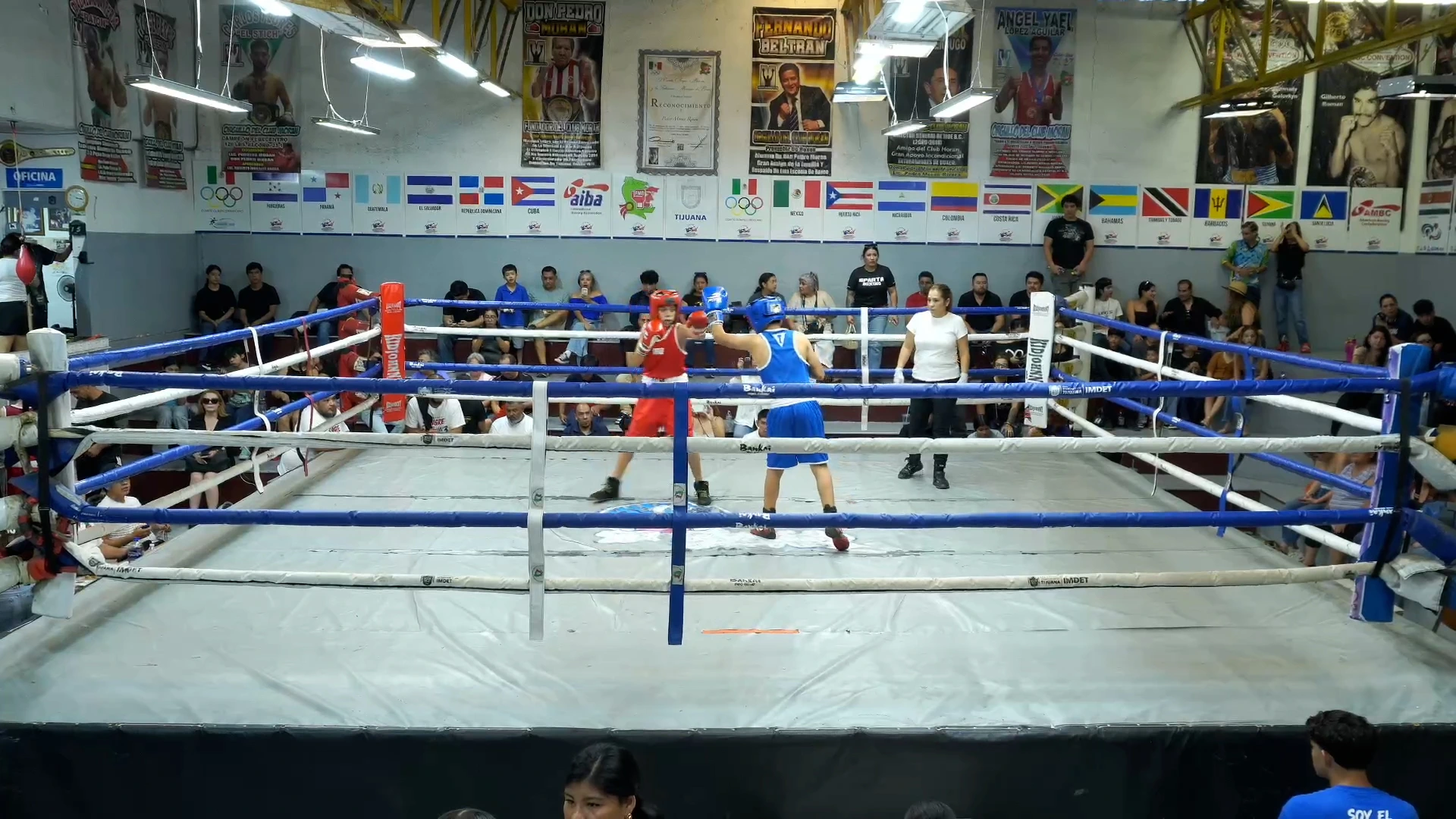 JAVIER MANDUJANO VS JOSE CONTRERAS