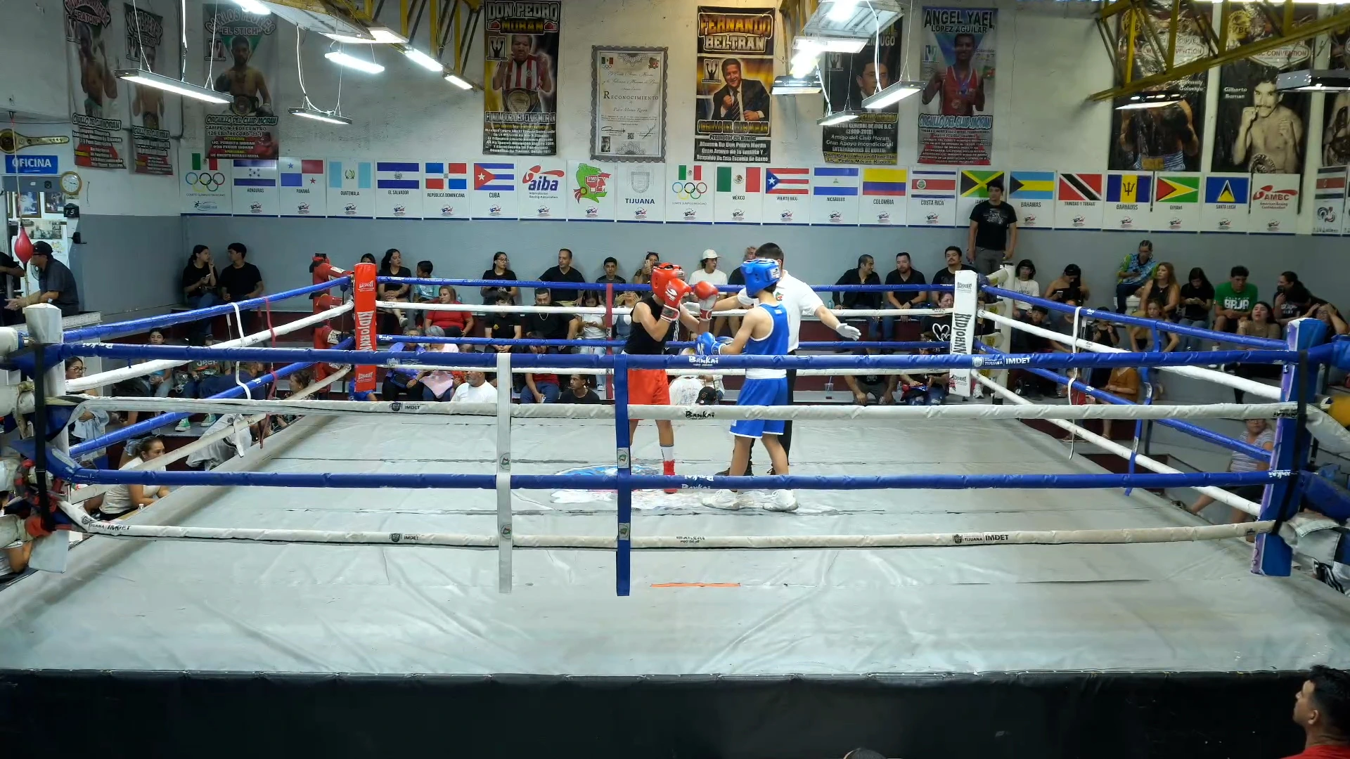 DAMIAN FLORES VS ALBERTO MEZA