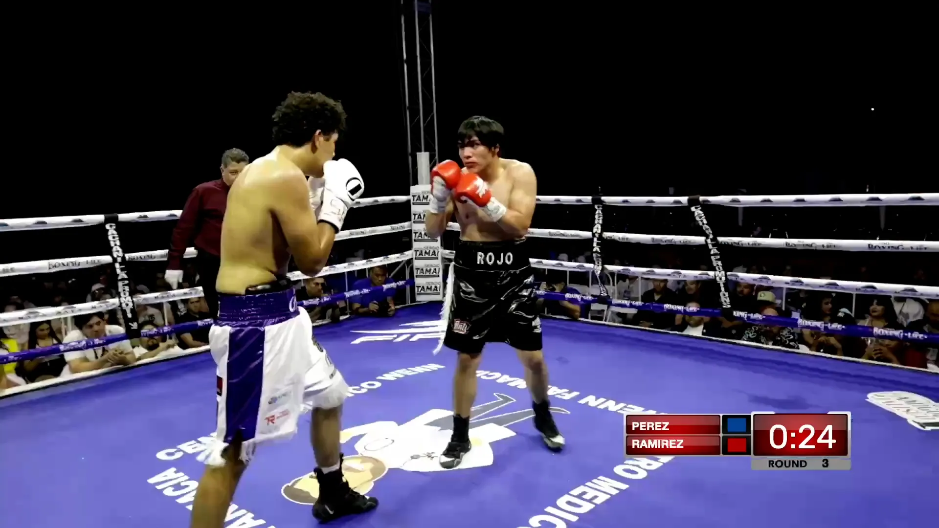 DIEGO PANDA REX RAMÍREZ VS JUAN CARLOS “ROJO” PÉREZ