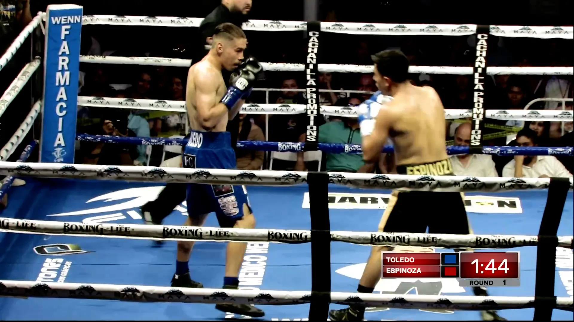MIGUEL ANGEL TOLEDO vs MIGUEL “MICKEY” ESPINOZA