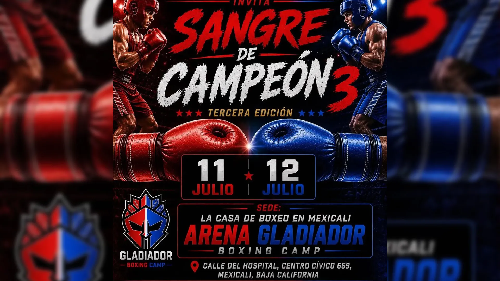 SANGRE DE CAMPEÓN 3 FINALES