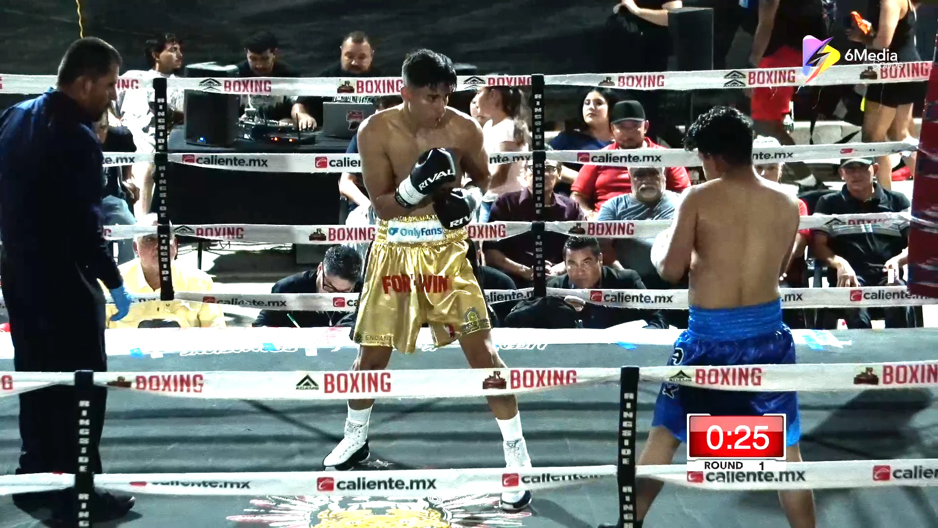 ALBERT OCHOA JR VS JORGE VALDEZ