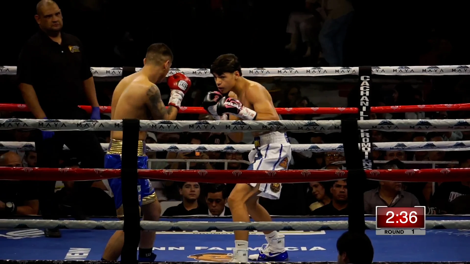 ANYELO MAGNIFICO BETANCOURT VS ÁNGEL QUINTANA