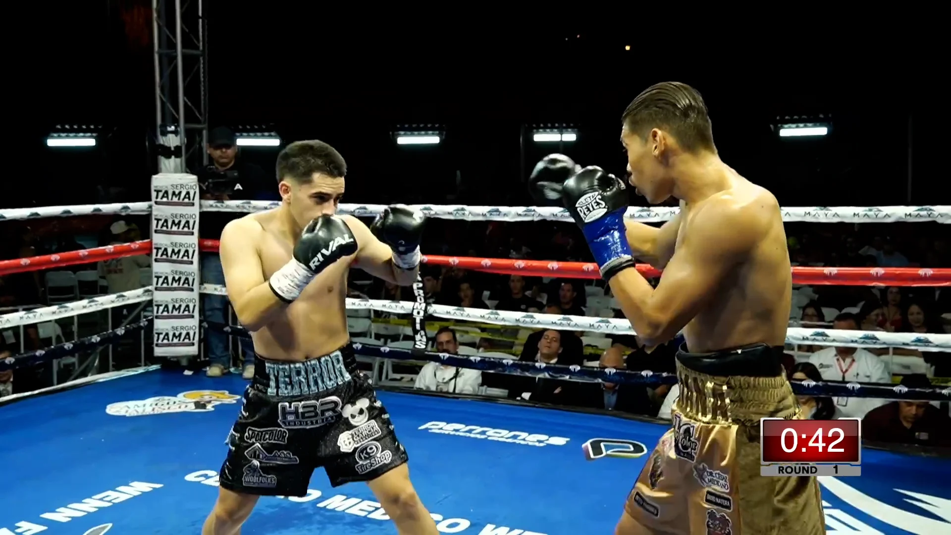 ANDRES TERROR GARCÍA VS MIGUEL ÁNGEL TOLEDO