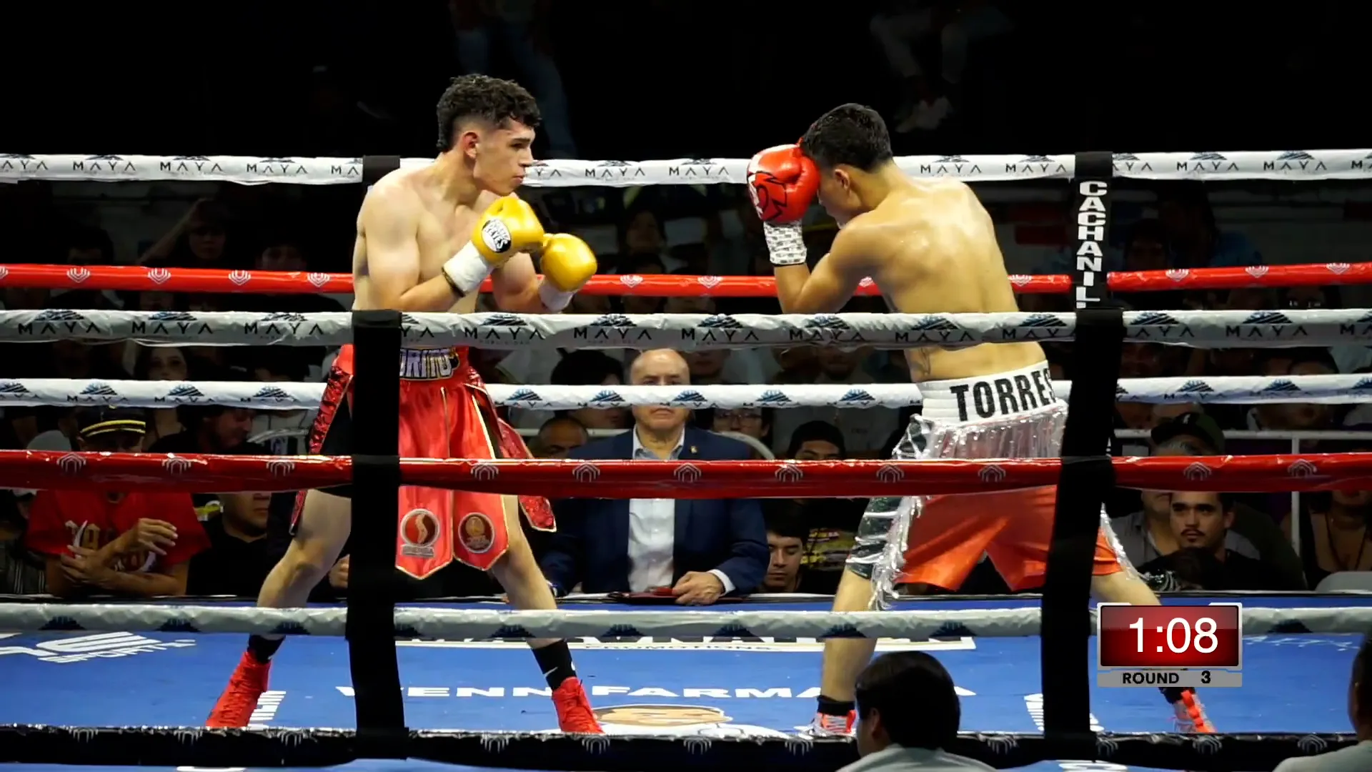 ARTURO LOBITO TORRES VS GILBERTO TORITO GARCIA